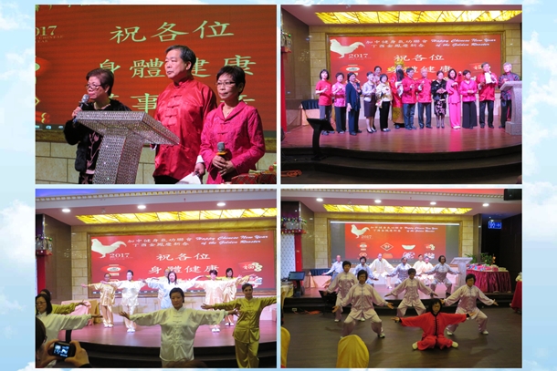 丁酉雞年春節聯歡晚會