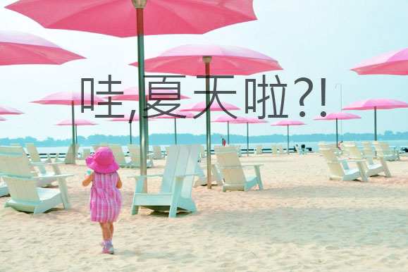 2011上半年總結