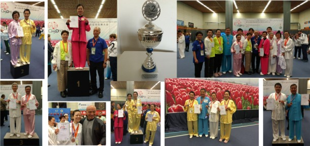 2014 Toronto Health Qigong Competition