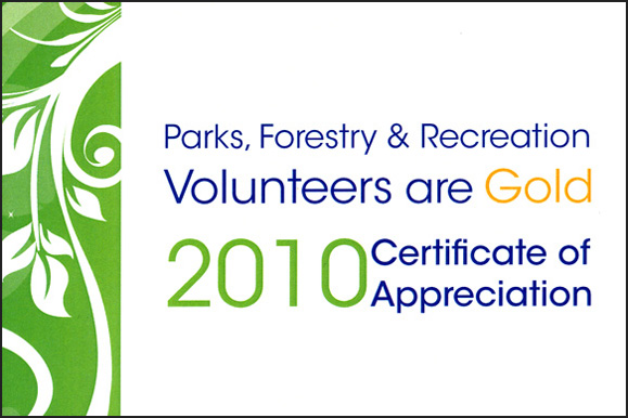 Volunteer Recognition Certification City of Toronto
